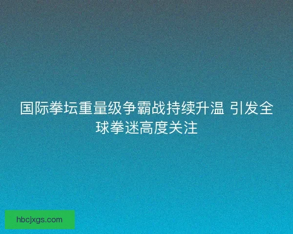 国际拳坛重量级争霸战持续升温 引发全球拳迷高度关注