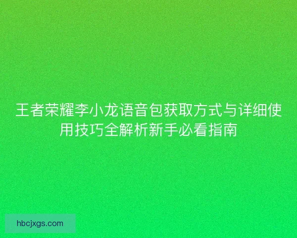 王者荣耀李小龙语音包获取方式与详细使用技巧全解析新手必看指南