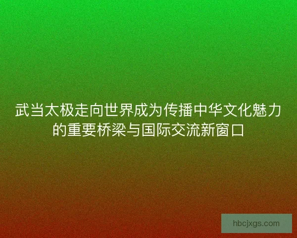 武当太极走向世界成为传播中华文化魅力的重要桥梁与国际交流新窗口