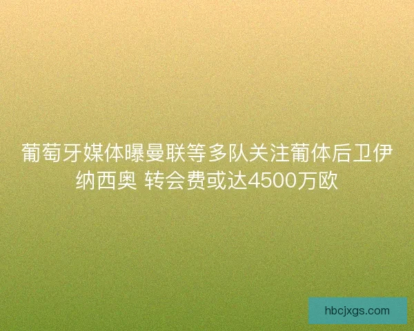 葡萄牙媒体曝曼联等多队关注葡体后卫伊纳西奥 转会费或达4500万欧