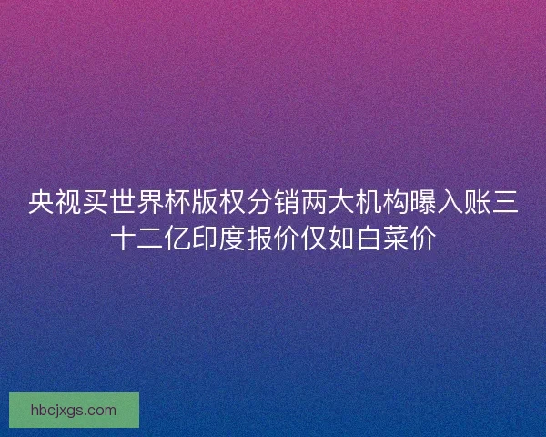 央视买世界杯版权分销两大机构曝入账三十二亿印度报价仅如白菜价