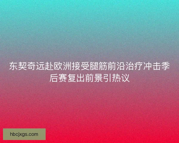 东契奇远赴欧洲接受腿筋前沿治疗冲击季后赛复出前景引热议 东契奇远赴欧洲接受腿筋前沿治疗冲击季后赛复出前景引热议