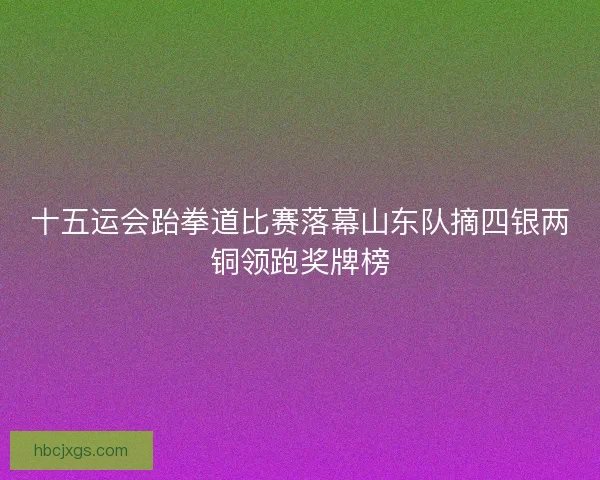 十五运会跆拳道比赛落幕山东队摘四银两铜领跑奖牌榜